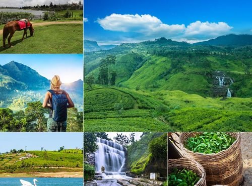 nuwara-eliya-800x750